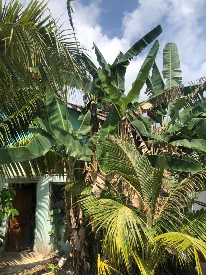 Macondo Mpai Bay เกาะรงสำลน ภายนอก รูปภาพ